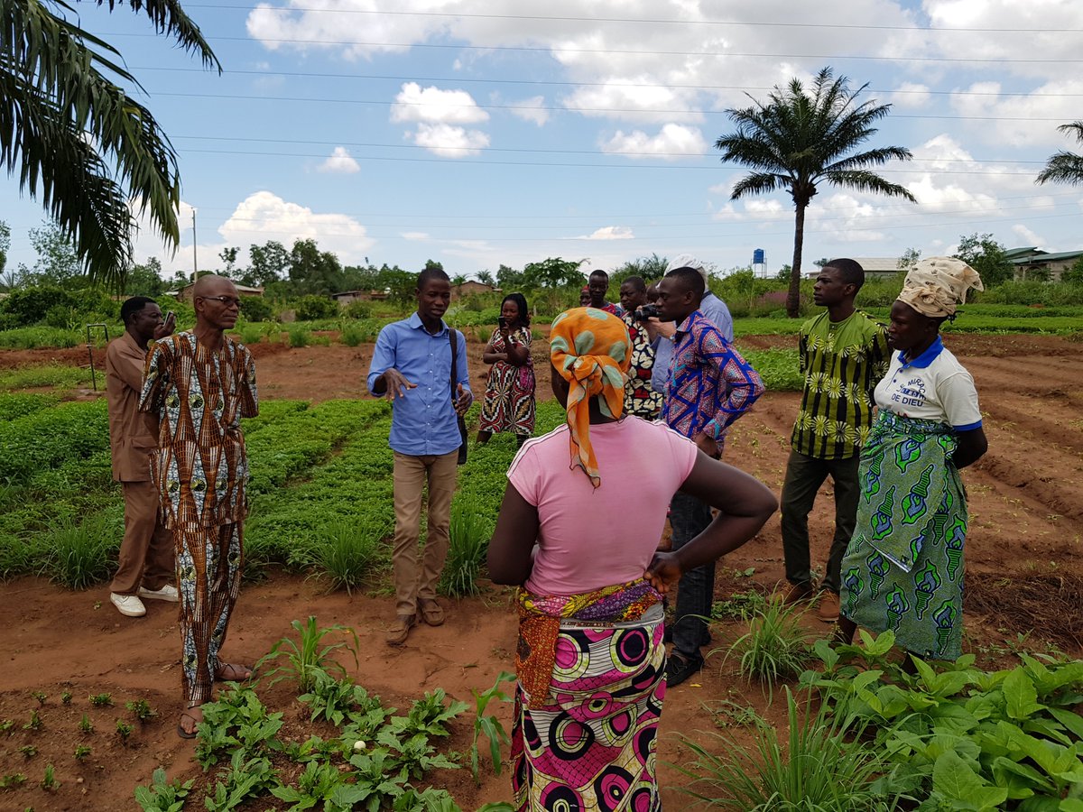acedafrica's tweet photo. #Opportunité pour renforcer vos capacités sur le développement et l’utilisation d’un outil digital d’attribution de terres à l’agriculture urbaine.
Manifestez-vous au plus tard le 29 avril 2021. https://t.co/rUGA9th62G https://t.co/Uzk0VAH34o
