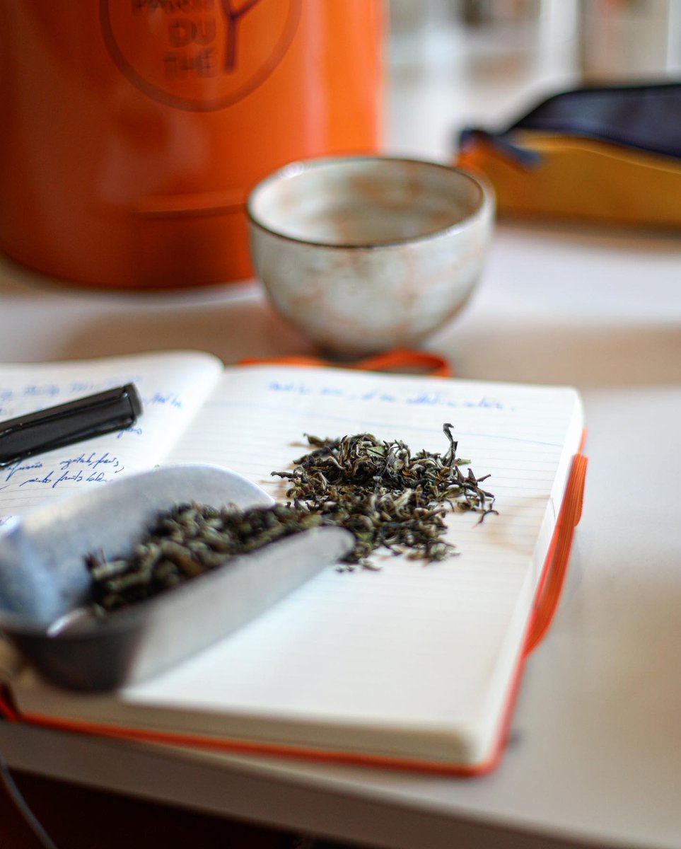 LePartiduThe's tweet photo. Il vient tout juste d’arriver de Namring: le Darjeeling de Printemps 2021 EX05 🍃

Pierre a donc sorti son carnet magique pour tout noter de la première dégustation.

#lepartiduthe #tea #teatime #teaday #best #producer #namring #darjeeling #spring #food #lavidalocale #paris https://t.co/uUQnGFo9zV