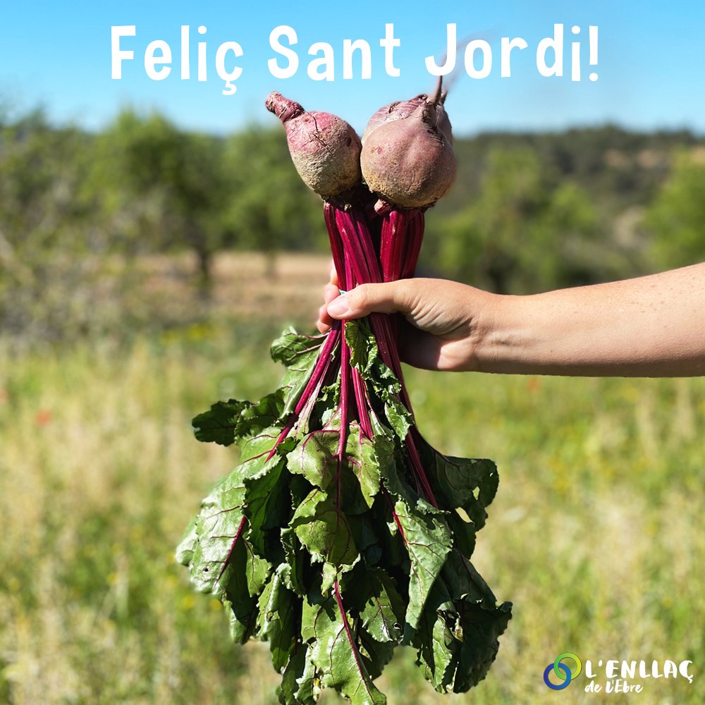 🌹 🌹 🌹

#SomEbre #somterritori #somculturapopular