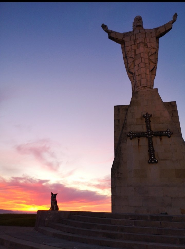 VectorBall's tweet image. #bordercollie #bordercollielife #bordercolliegram #oviedo