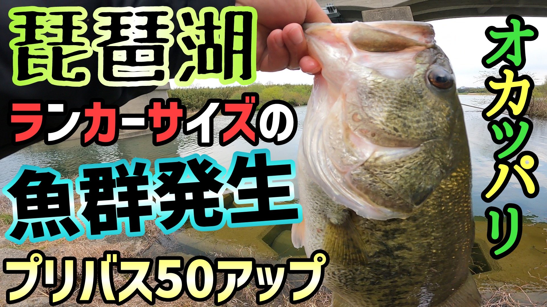 キャベツch 琵琶湖のデカバス釣れたで 先程動画アップしてますのでご視聴よろしくお願いします T Co Izgd57dizk 琵琶湖バス釣り バス釣り 釣り 琵琶湖釣り 琵琶湖オカッパリ 琵琶湖おかっぱり おかっぱり ブラックバス