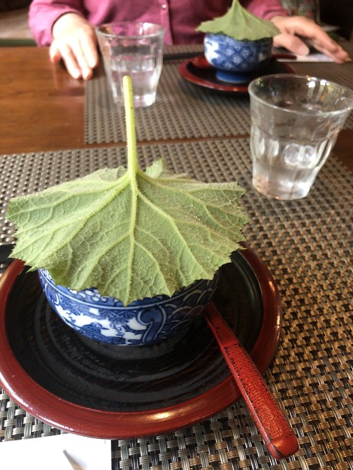 山奥のカフェなんだけど、料理めちゃくちゃうますぎて
いっぱい出てきた うまかった(:3_ヽ)_(語彙力) 