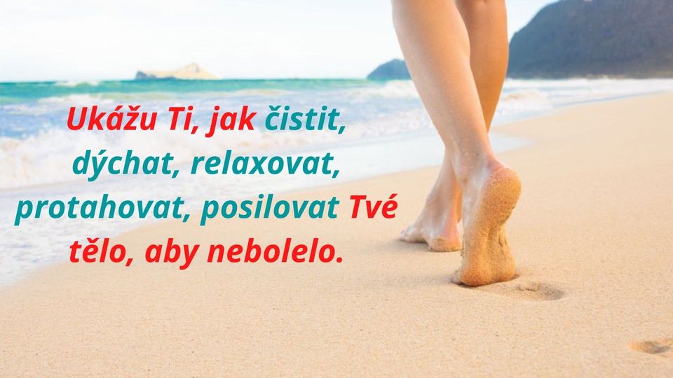 PohybT's tweet image. 