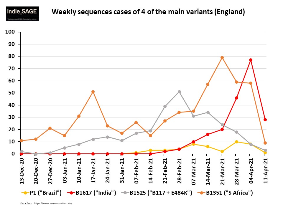 This chart shows week on week absolute numbers of variants (up to 11 April). B1617 (India) has become the most sequenced (apart from B117) in the last couple of weeks over taking B1351 (SA).Clearly the number of sequences carried out affect these numbers significantly.8/13