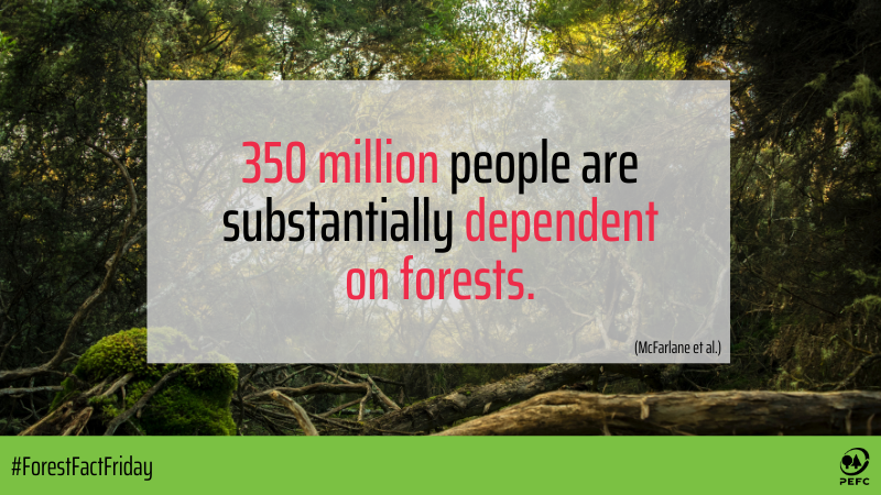 If we include smallholder farmers practising agroforestry or depending on the provisioning services of forests and trees to this figure, the number of people who can be considered forest dependent reaches even 2.5 billion.
#ForestFactFriday #forests  #trees #forestfacts