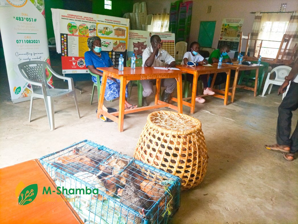 M-shamba App tweet media