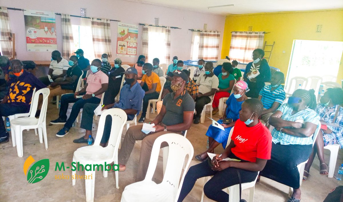 M-shamba App tweet media