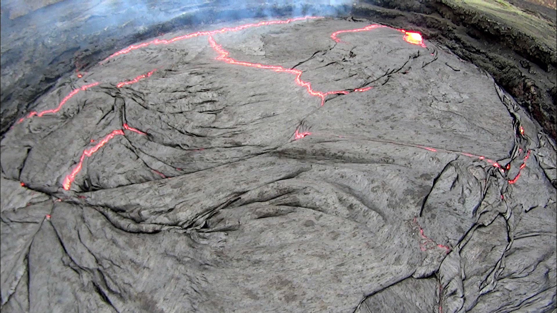 エルタアレ Twitter Search Twitter