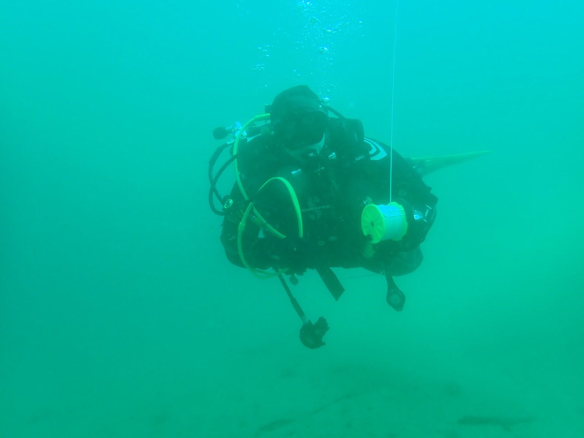 DanSmale1's tweet photo. Amazing to finally have our own scientific dive team @thembauk , in collaboration with @TritoniaDiving . First day of training and familiarisation complete, bring on kelpy science ! 🌱 🌊 ☀️ 🤿 https://t.co/eMJLr3bR1k