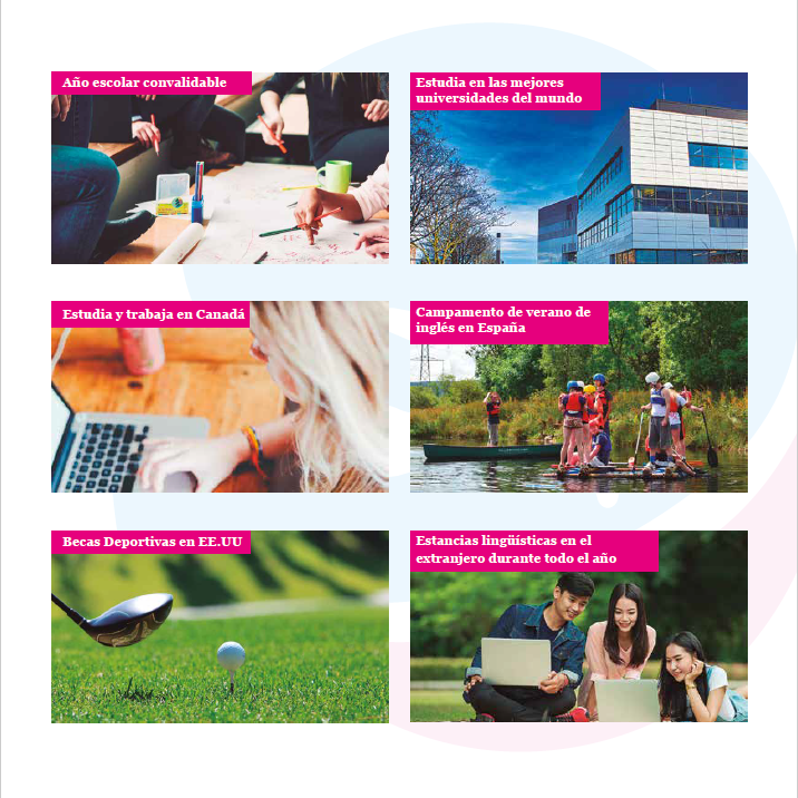 ESW_INTER's tweet image. ✨PROGRAMAS ESW INTERNATIONAL ✨

Pregúntanos y... ¡vive la experiencia! ✈️🇺🇸🇨🇦🇦🇺🇬🇧

#ChooseYourBest

eswinternational.com/programas