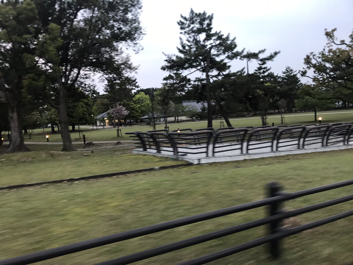 mitsunori_sato's tweet photo. 18時45分現在、
奈良公園は実に静か、
🦌鹿さんも穏やかであります。
よく見たらツノが生えてきてるw

#路上や公園飲みはお控え下さい https://t.co/tU3OelScPO
