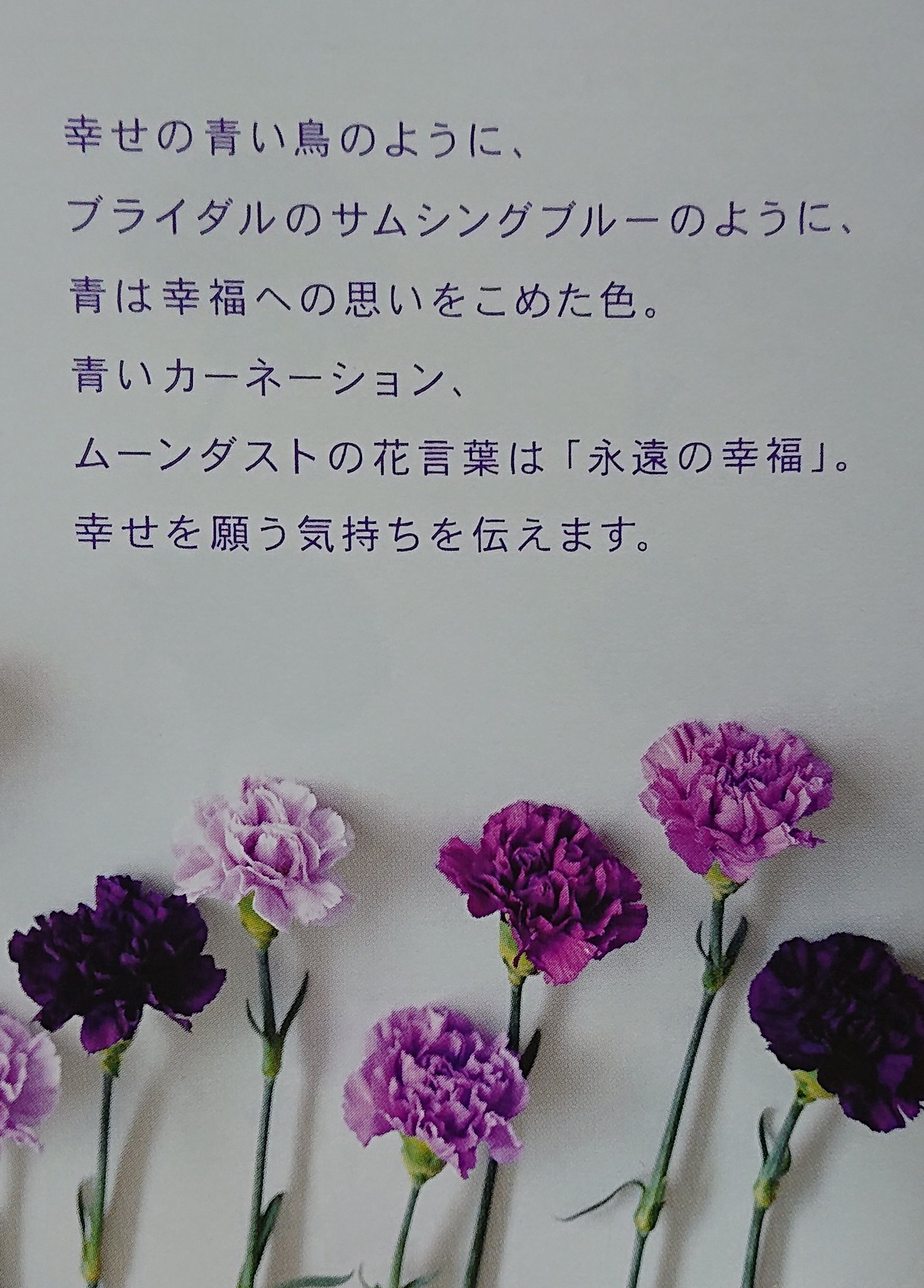 花空間 母の日3点セットご用意しました 石鹸素材で出来たシャボンフラワーは記念に残ります Box型になっており そのまま飾っていただけます 絵本は可愛らしいイラストで心もほっこり ムーンダスト というカーネーションの花言葉は 永遠の幸福