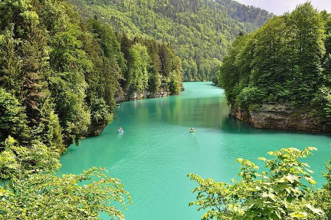 “Você quer ter sucesso que abranja todas as áreas da vida? Antes de encarar os desafios de hoje, pense que só será realmente feliz aquele que for como “árvore plantada junto a corrente de águas, que, no devido tempo, dá o seu fruto, e cuja folhagem não murcha”.”

#MD2021
