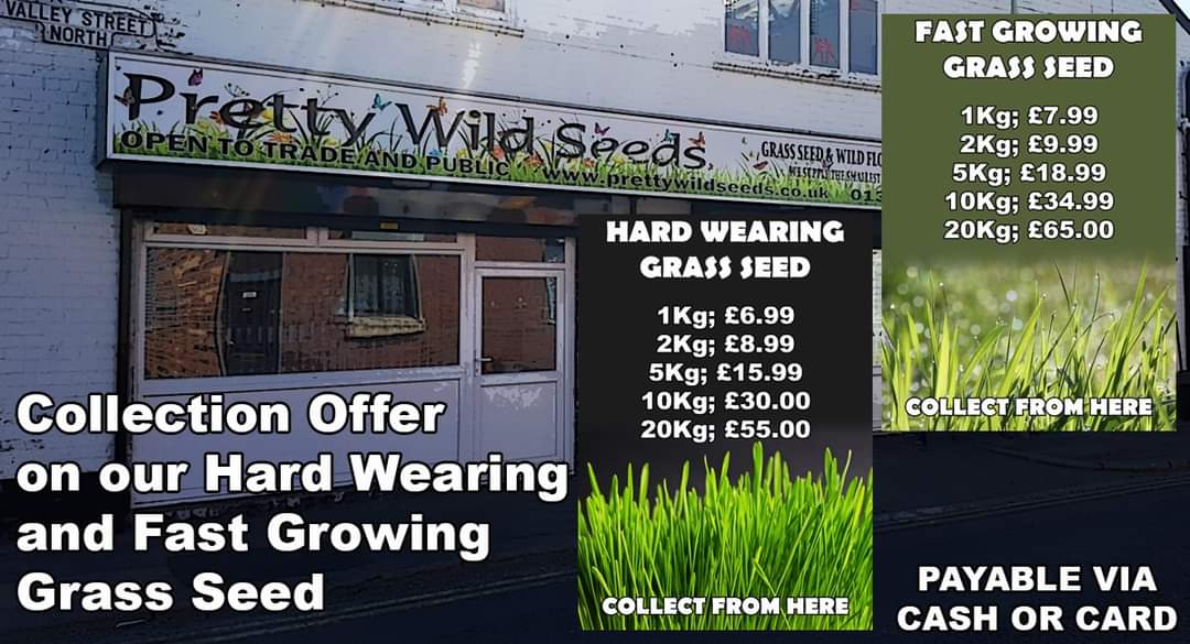 Live in or around Darlington? Pop in to our warehouse for a cracking deal on our grass seed, or call us on 01325 353596 to schedule a collection from Valley Street North, Darlington, DL1 1PY #NEFollowers #LoveDarlo #gardening #grassseed #perfectlawn #specialoffer #darlington