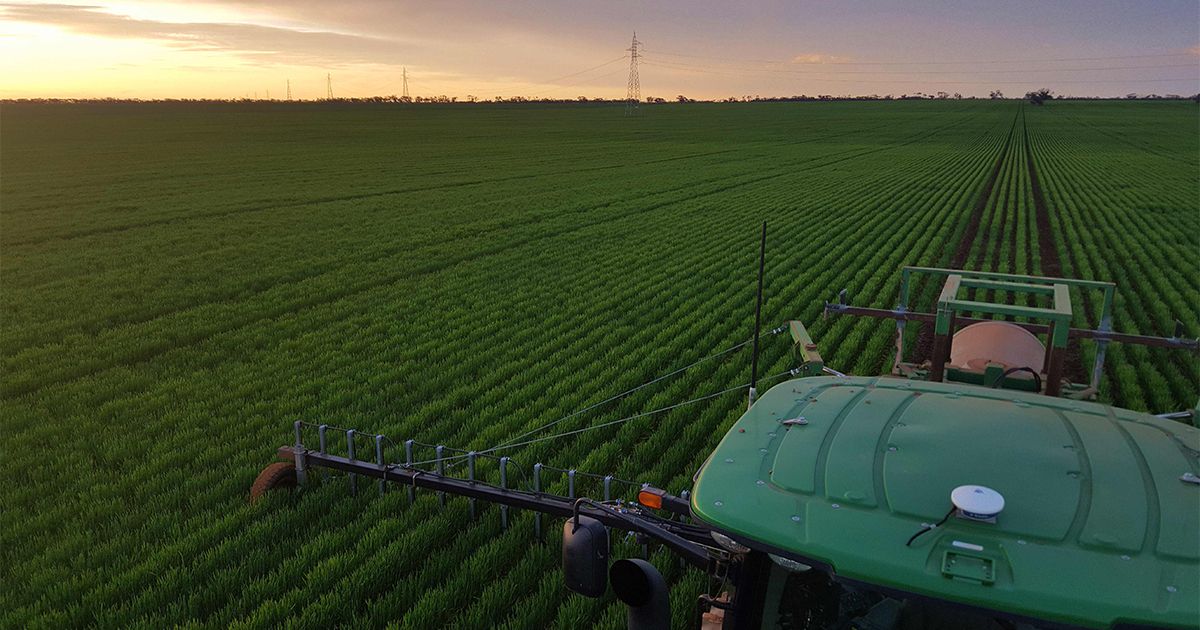 WeedSmart (@weedsmartau) on Twitter photo Grain grower Leigh Bryan doesn’t shy away from an unconventional idea. His crop-guided shielded sprayer works s treat, he is confident with chaff lining + he also has been testing the possible advantages of zero row spacing.
Learn about his approach💡 buff.ly/3aB1LyW Grain grower Leigh Bryan doesn’t shy away from an unconventional idea. His crop-guided shielded sprayer works s treat, he is confident with chaff lining + he also has been testing the possible advantages of zero row spacing.
Learn about his approach💡 buff.ly/3aB1LyW