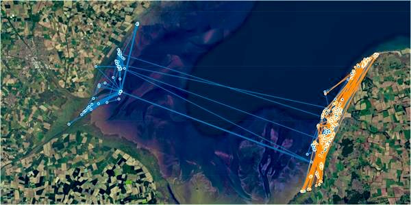 A <a href="/_BTO/">BTO</a> pilot study has used GPS tracking to help understand where #Oystercatchers are feeding on the 30,000ha of tidal mudflats of The Wash. Ensuring both bird and commercial harvesting of shellfish can thrive. <a href="/NaturalEngland/">Natural England</a> <a href="/WashWader/">Wash Wader RG</a> <a href="/NEEastMidlands/">Natural England East Midlands</a> <a href="/eastern_ifca/">Eastern IFCA</a>