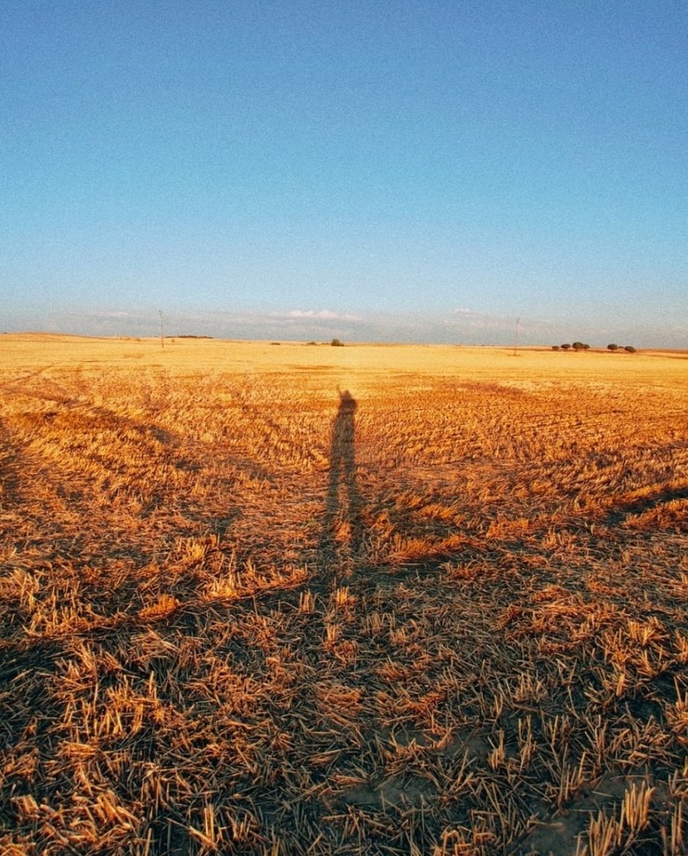 _curcue_'s tweet image. Feliz día 23 de abril a todos los que crean comunidad. 

Mi Castillita... 💛🌾☀️ 

(Aquí van unas fotos de la zona rural)👇🏻