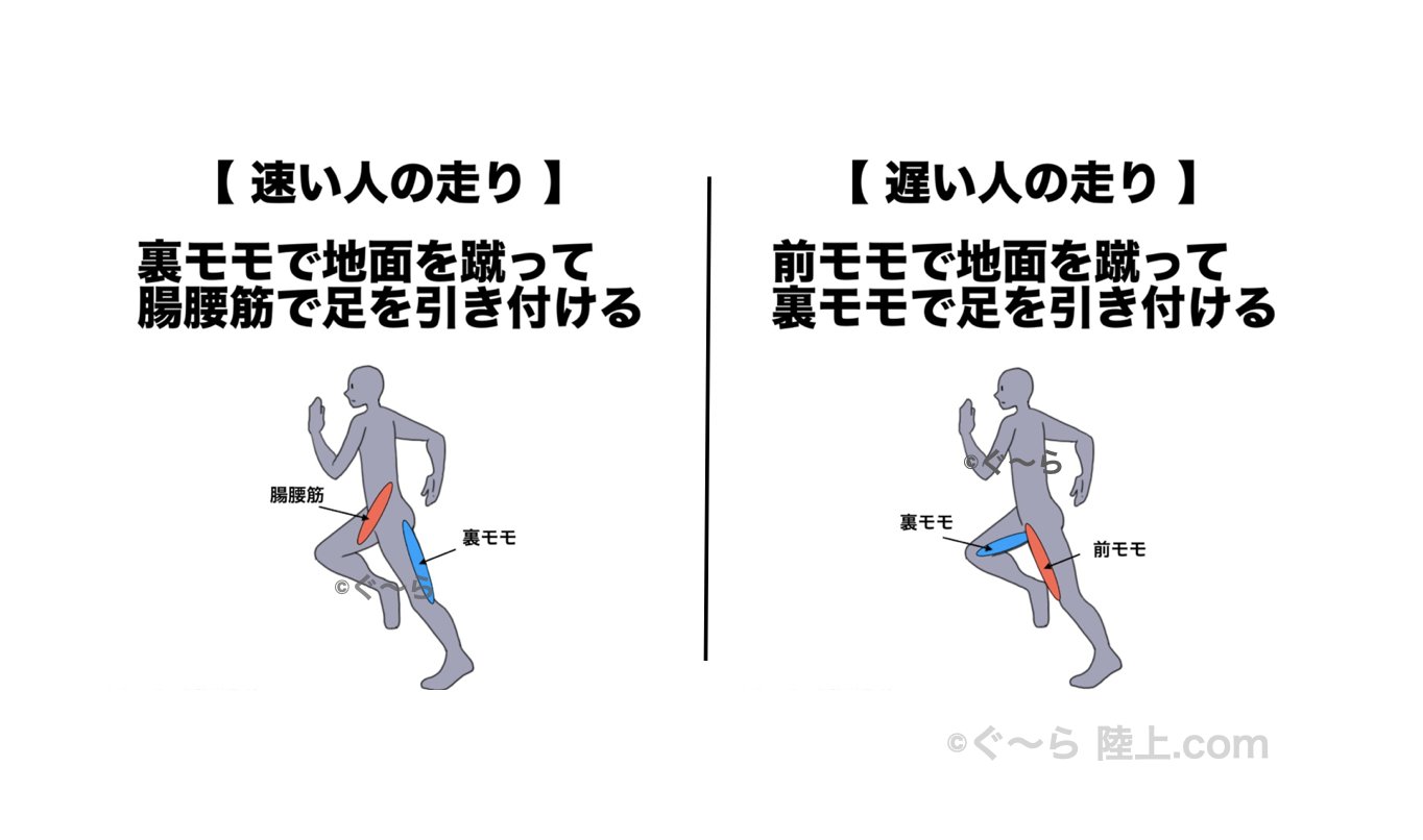 ぐ ら 陸上コーチ タイムの差は 使う筋肉 同じようなフォームでも 使う筋肉 が違えば ピッチや ストライドに 大きな 差 が出ます スタブロを蹴る時 前傾姿勢の時 前モモ を使って 走っていませんか T Co