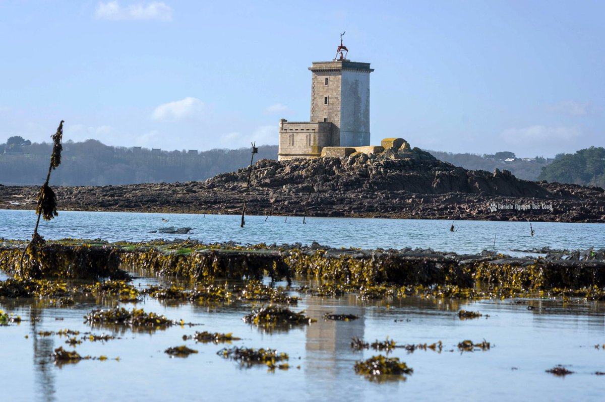 MABRO_cc's tweet photo. Phare de l'ile noire, #finistere #Bretagne France https://t.co/ZW4PdCc9pU