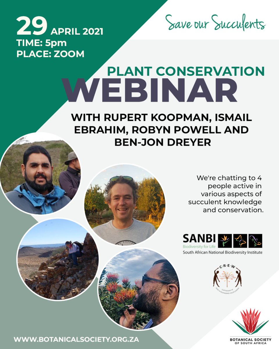 BotSocSA tweet media