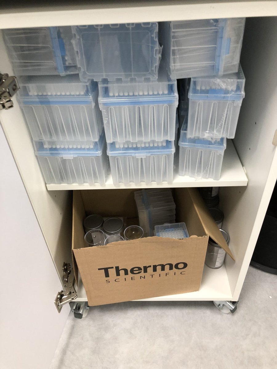 Beautiful scenes on a pandemic-affecting-plastic-supplies Friday morning  💫💕👩🏻‍🔬