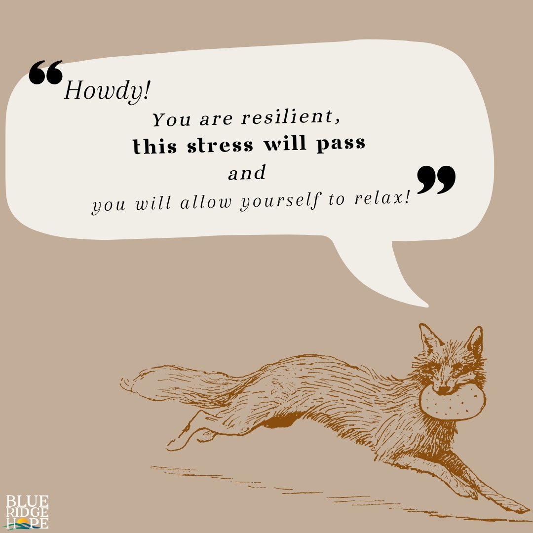 Last week the Friday frog dropped some wisdom on us, this week the Friday fox is here to educate y'all! 🦊 Listen to this affirmation, believe it! Happy Friday!
•
•
•
#blueridgehope #anchoredinhope #fridayfox #mentalhealthmatters #fridayaffirmation