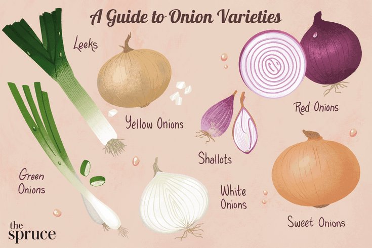 Revealing the latest updates on Links onions in the Dark Web