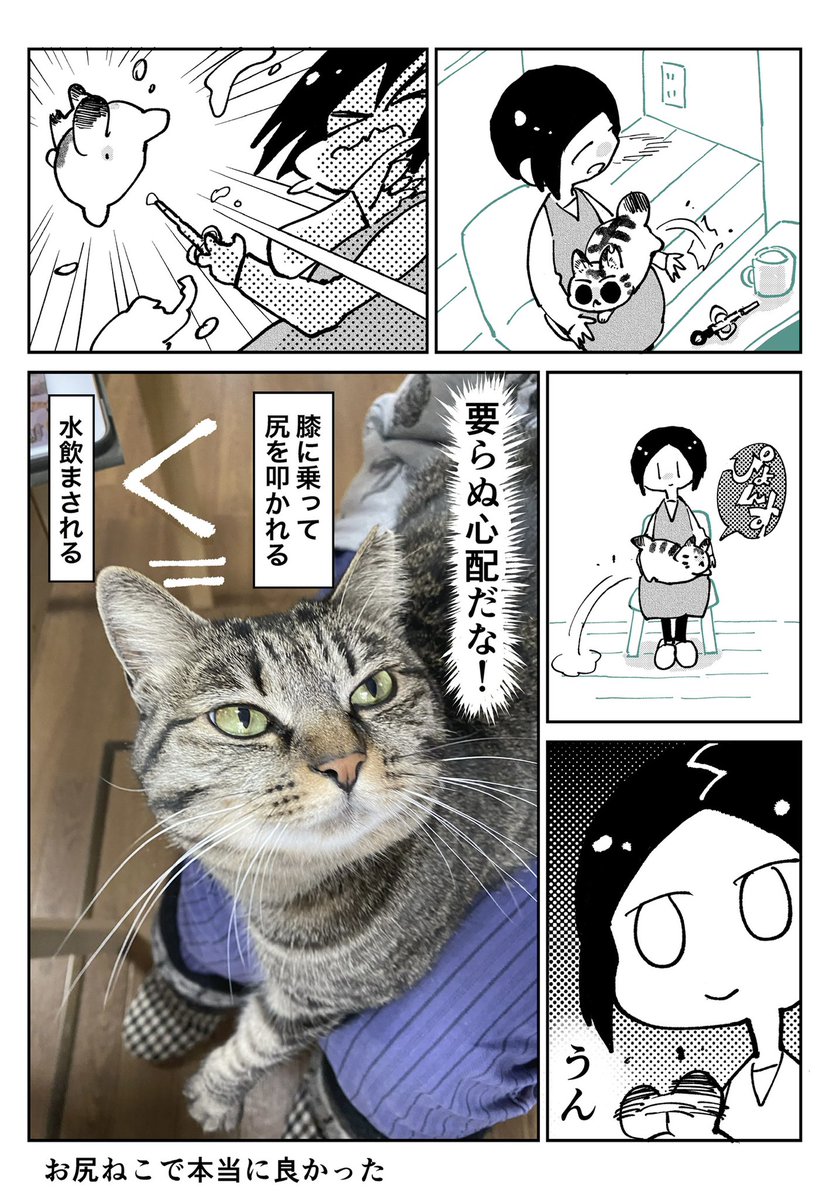 3本足のしじみちゃん127 