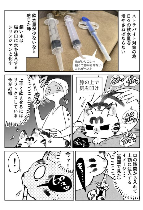 天道グミ Kawakimon さんのマンガ一覧 古い順 18ページ ツイコミ 仮 天道グミ Kawakimon さんのマンガ一覧 古い順 18ページ ツイコミ 仮