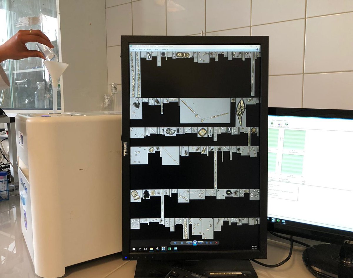 JERICORI's tweet photo. #JERICOWeek2 hosts a Harmonisation workshop on automated sensors for plankton monitoring.
Help us to achieve #BestPractices by completing our questionnaires:
🟢Plankton Aumated Imagery 👉https://t.co/4ymjCOiMgt
🟣In Vivo Fluorometry 👉https://t.co/vYrndPfH1w
#FAIR #JERICORI https://t.co/GcXFTxRc9N