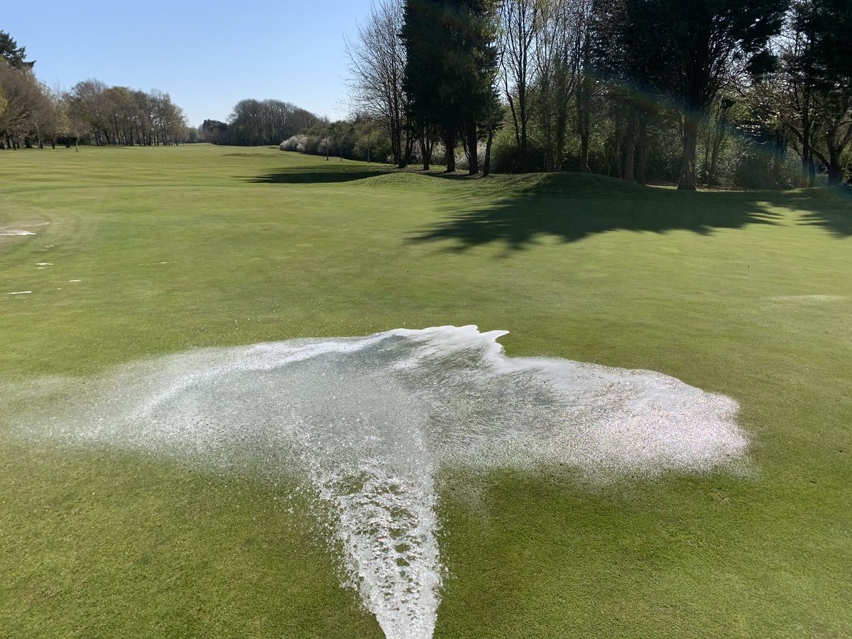 Hand watering being stepped up today using <a href="/indigrowuk/">Indigrow</a> Magnum pellets to target some areas prone to drying out. A frost first thing again turning into 16 degrees later today.