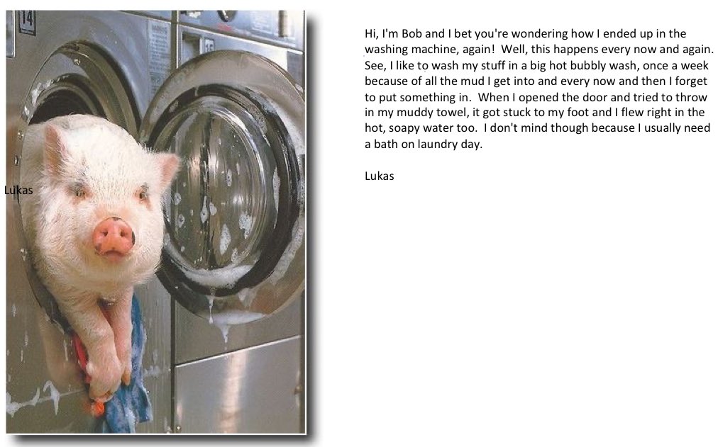 missmaxim2's tweet photo. Our weekly funny picture writing. These are getting better and better each week, my friends are so creative! (2/3) 🐷 https://t.co/g5aOxjf4p5