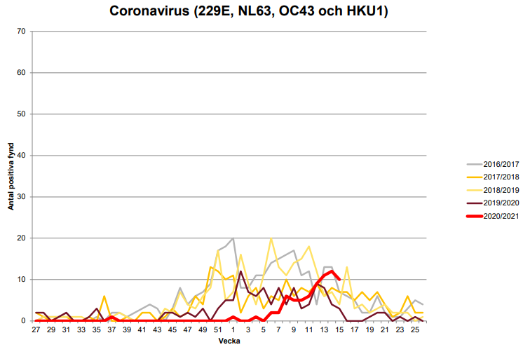 Sweden week 15. No masks, no lockdowns, no school closures under age 16 -- and a full year with no Flu A, Flu B, or RSV; RSV rises slightly after reappearing finally last week. HCoVs tick down but still higher than recent years this week. https://karolinska.se/globalassets/global/2-funktioner/funktion-kul/klinisk-mikrobiologi/epidemiologi/rapport-influensa--och-rs-virus-och-andra-luftvagspatogener.pdf