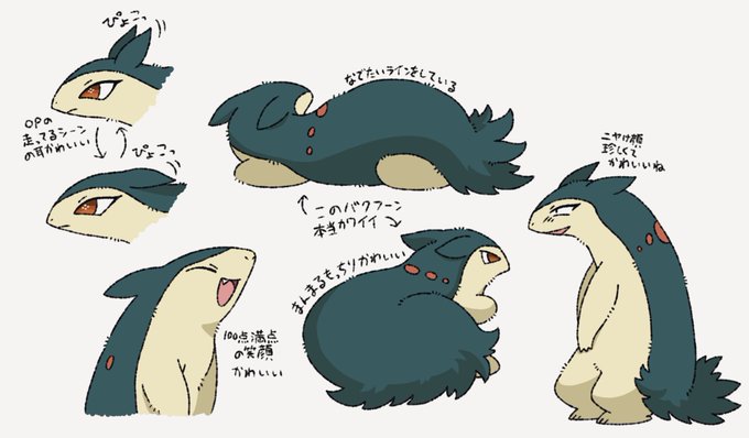 バクフーン かわいい 画像 バクフーン かわいい 画像
