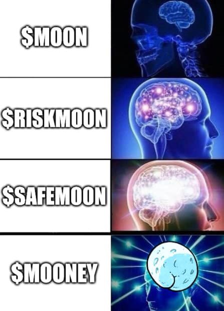 crypto_mooney's tweet photo. The evolution of #mooney from #safemoon https://t.co/3TiNSjeD98