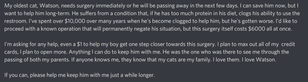 DapperlyYours's tweet photo. I need help, please. 
I'm so sorry to ask, but it's about my kitter, Watson. He needs surgery. Retweets are incredibly welcome.
https://t.co/bZkOPE8LnA https://t.co/2DCnZyAdWC