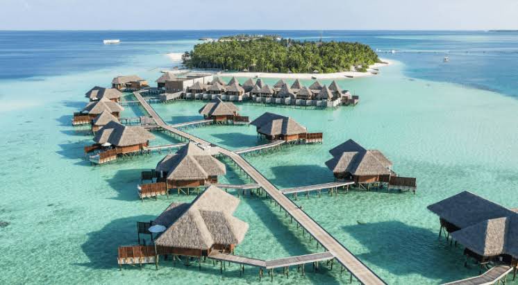 canovski07's tweet photo. Kripto paraya                  Kripto paraya
Yatırım yapmadan        Yatırım yaptıktan
 Önce tatil planım       Sonra tatil planım
#BitTorrent 
#bitcoin https://t.co/xFttlnhQh8