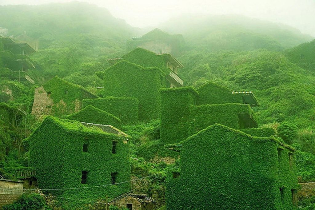 Abandoned fishing village in China overrun by nature.