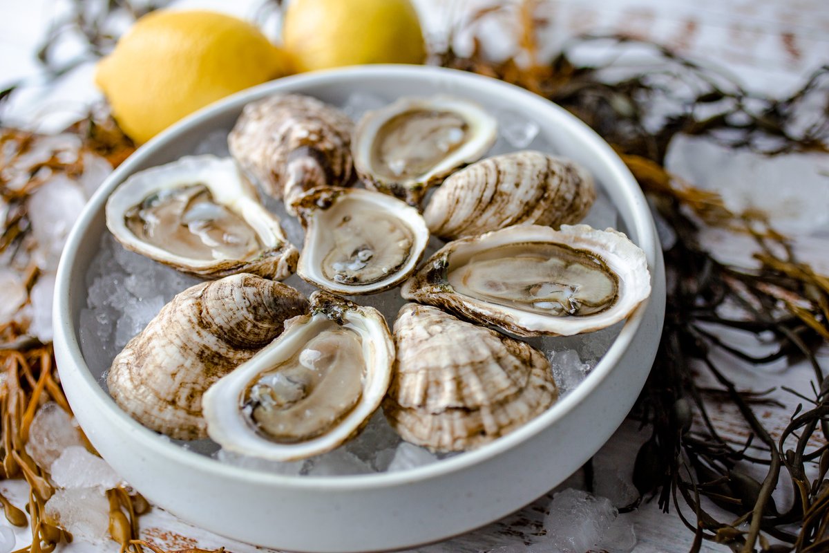 🦪

#oystershucking #seacoreseafood #freshfish #freshfishdaily #fishlover #fishmarket #fishnchips #seafoodies #seafoodboil #seafoodporn #seafoodlover #seafoodlovers #seafoodlove #seafoodtime #seafoodie #seafoods #seafooddiet #seafoodheaven #seafoodnight #seafoodfeast