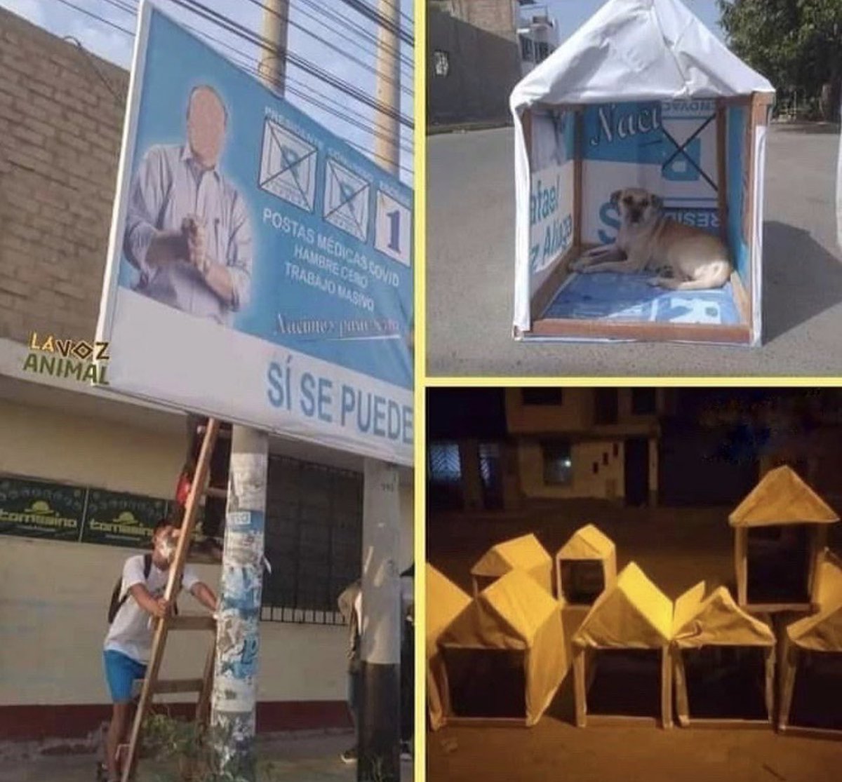 Finalmente algo bueno de esta pinche campaña electoral 👌🏼