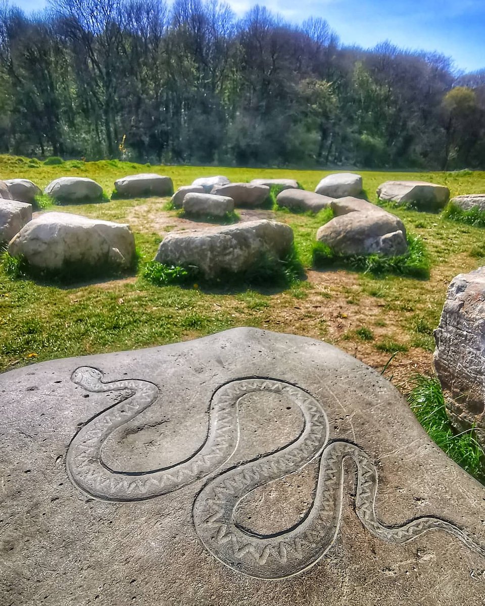 Watch for those adders at porthkerry park 🐍🐾👣