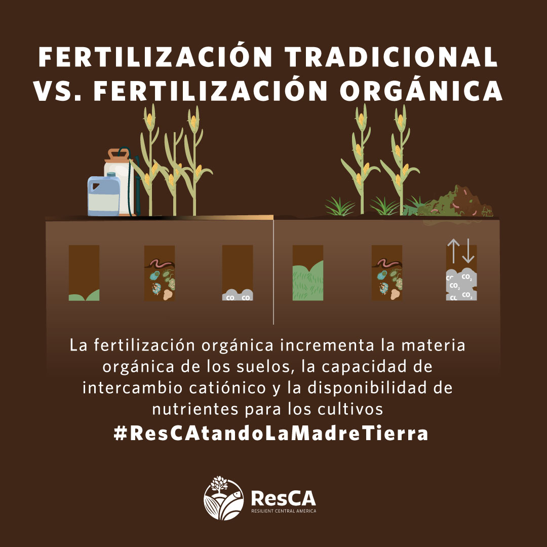 La fertilización orgánica tiene como objetivo proporcionar los nutrientes necesarios para que los cultivos crezcan de manera satisfactoria, con un valor agregado que beneficia a los agricultores y a sus familias. #ResCAtandoLaMadreTierra #ActúaPorLaNaturaleza #DiaDeLaTierra