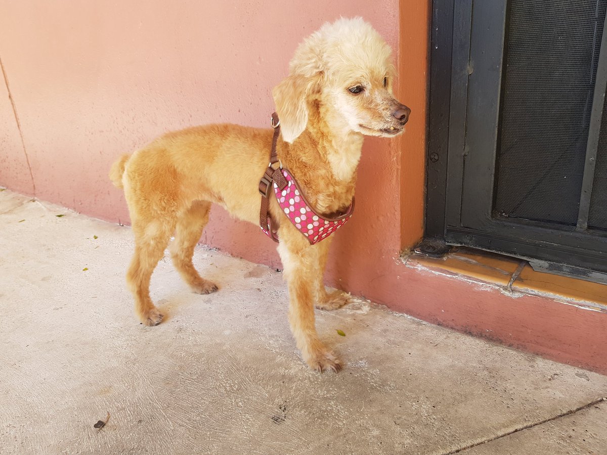 Microsoft on Twitter: 