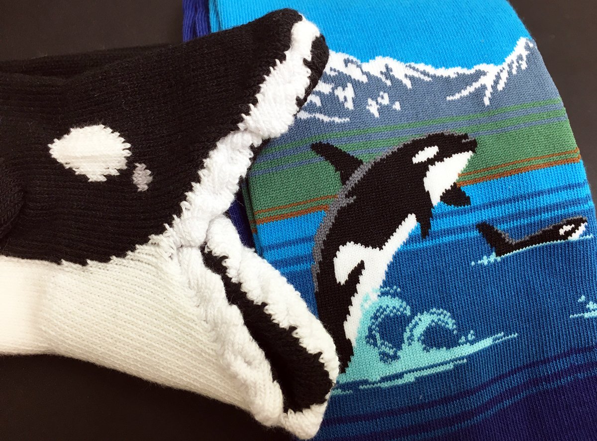 Whale, whale, whale. . . what do we have here? #orca