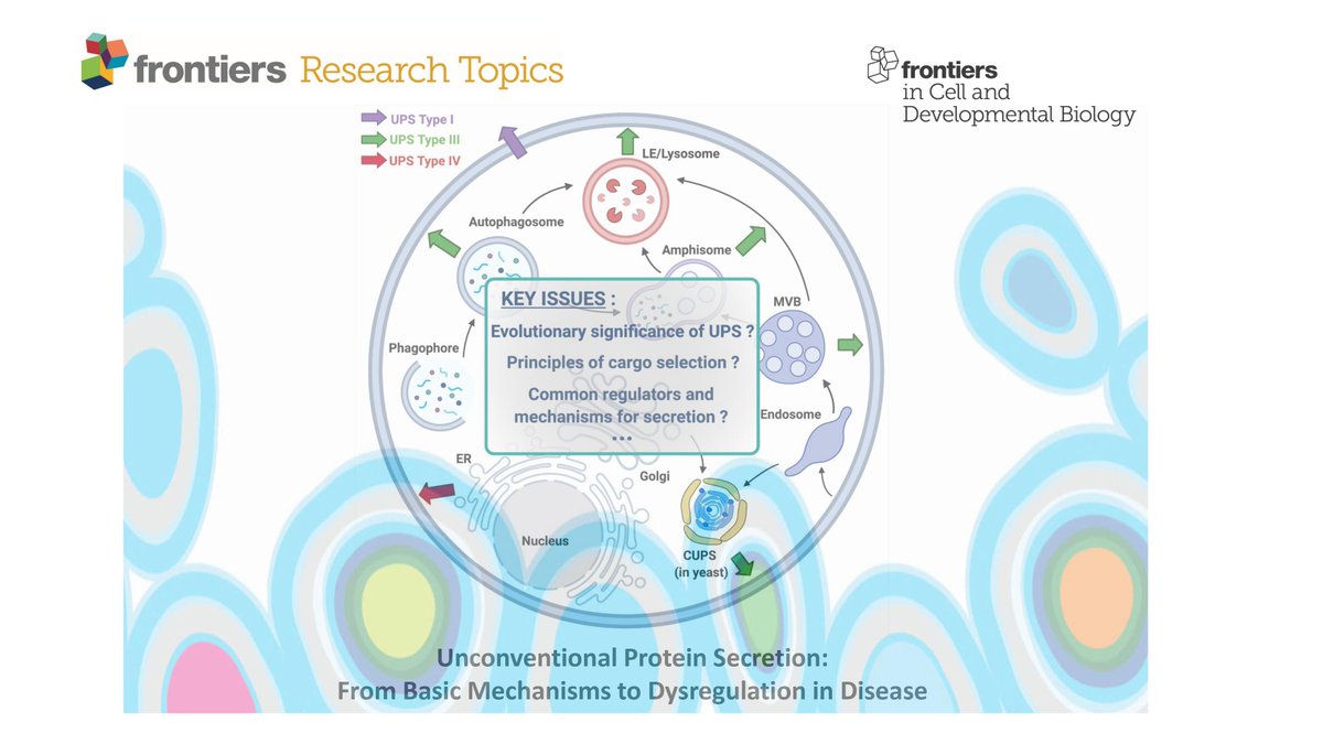 📢 Call for papers! 

'Unconventional Protein Secretion: From Basic Mechanisms to Dysregulation in Disease'    

Abstract deadline: 30 Sept 2021
Manuscript deadline: 28 Jan 2022

Details 👉 … fro.ntiers.in/VKrF <a href="/julien_vill/">Julien Villeneuve</a> , @ChiritoiuMari , <a href="/Sarzy_Stewart/">Sarah Stewart</a>