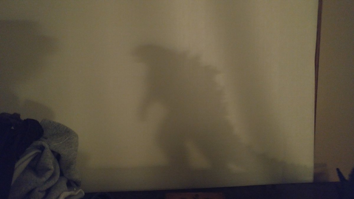 RealHonestMom's tweet photo. Early morning shadows at my house. https://t.co/tzAyTpVqmZ