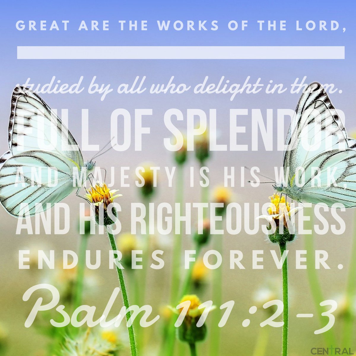 Christopher Wiles tweet media