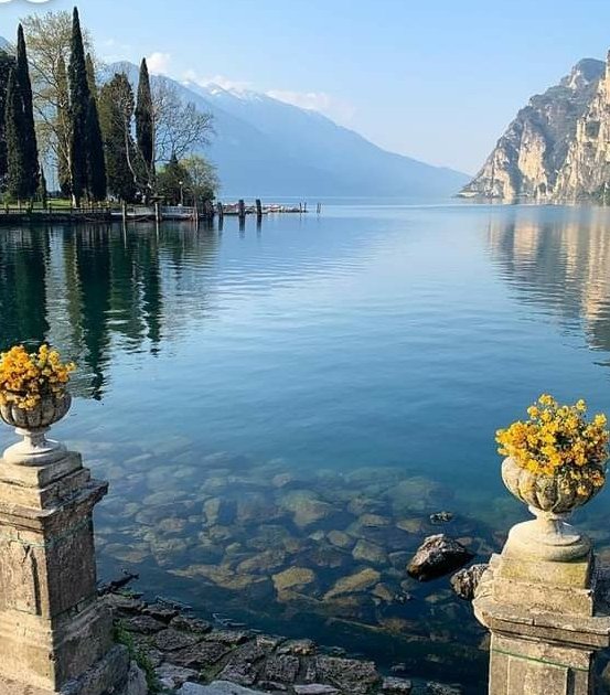 SandraRu06's tweet image. 