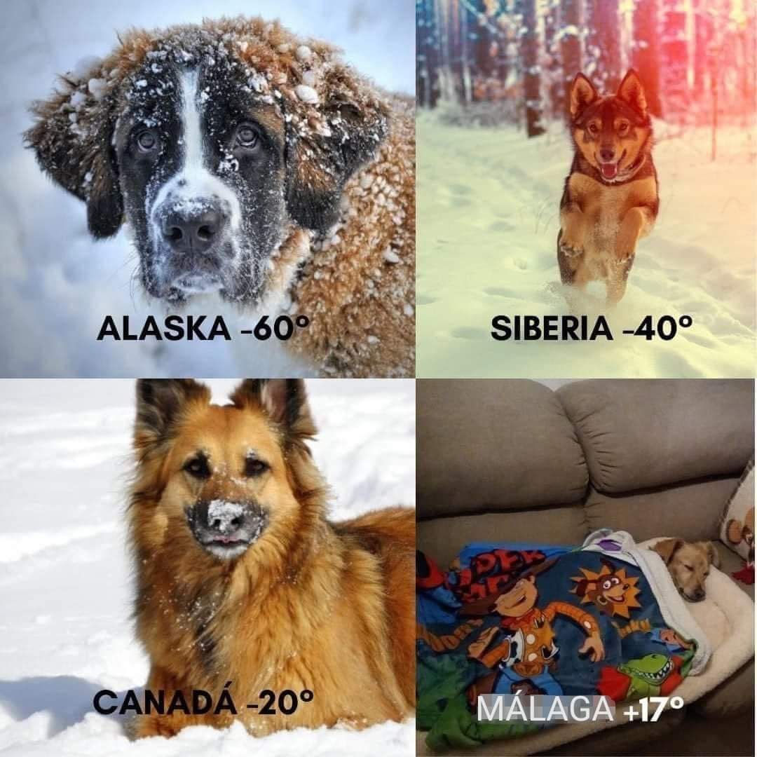 no me llamo vicenta (@kansaita_) on Twitter photo 