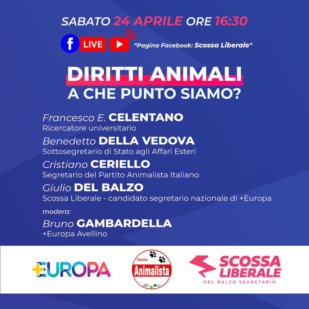 ⚡️Diritti Animali: A che punto siamo?

“Non solo una buona moneta, ci serve un buon pianeta” e non ci siamo solo noi. Ne parliamo Sabato 24 Aprile, ore 16.30. 

🔵 Live sulla Pagina Facebook: Scossa Liberale

#scossaliberale #delbalzosegretario